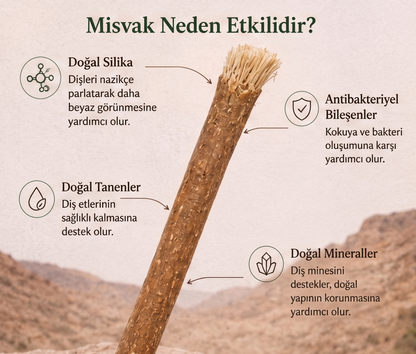 Doğal Misvak Diş Fırçası